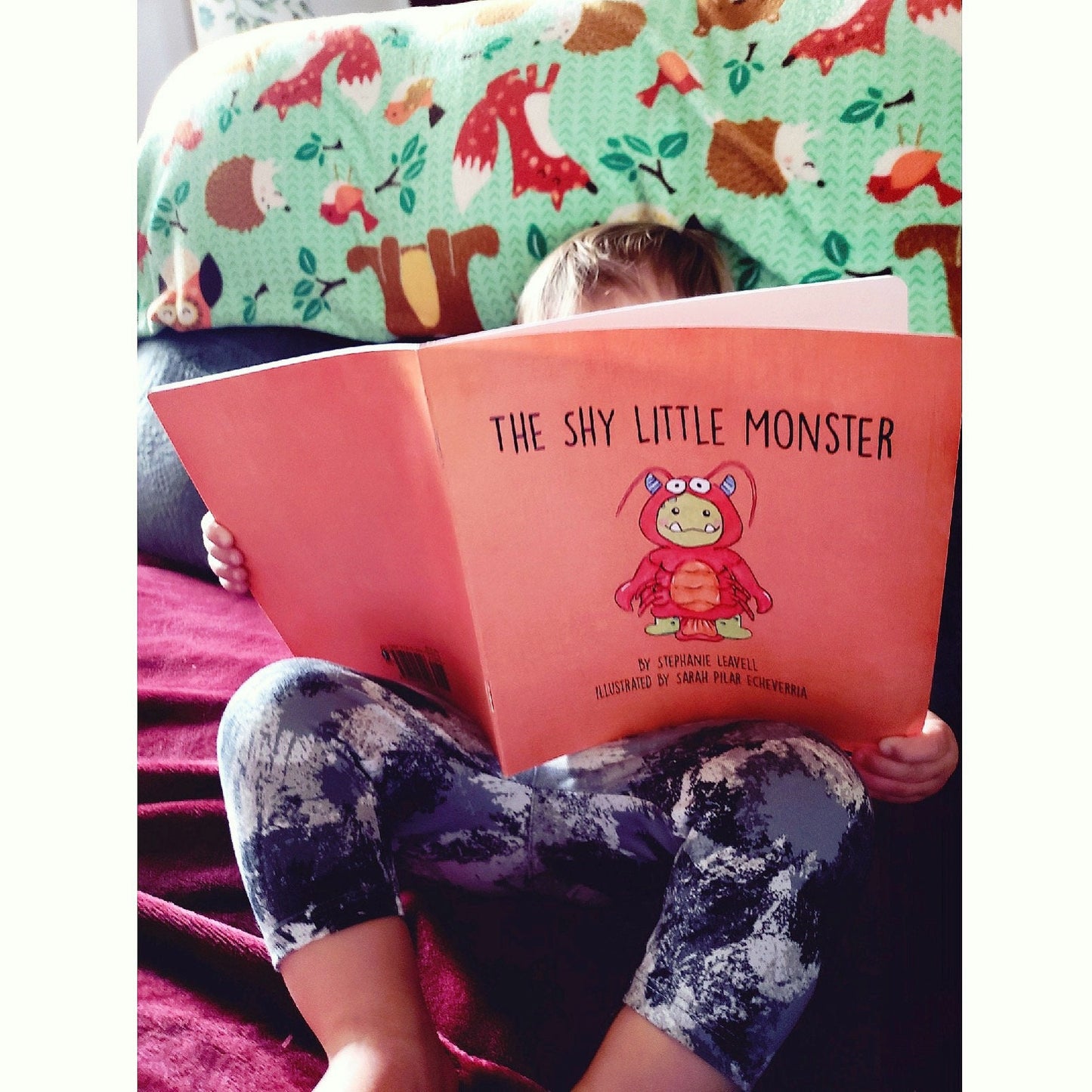 The Shy Little Monster Children's Book